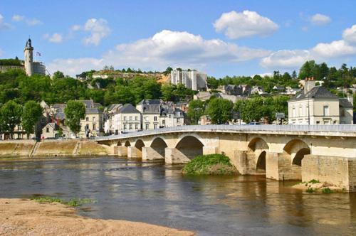 Logis Hotel Restaurant La Boule D'Or Chinon Buitenkant foto